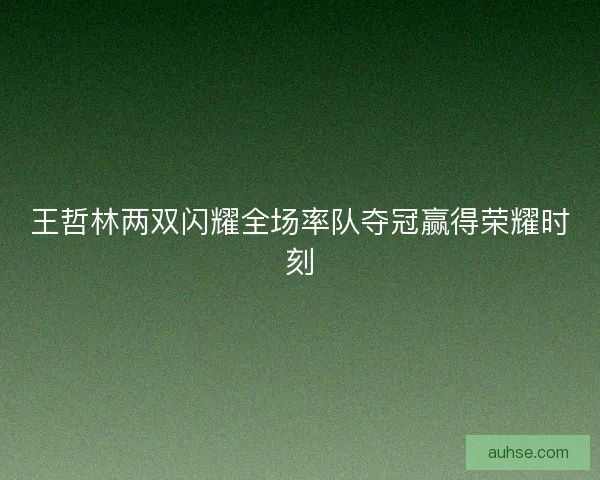 王哲林两双闪耀全场率队夺冠赢得荣耀时刻